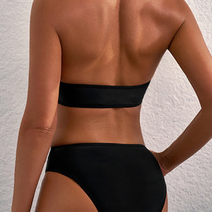 Black Sheer Mesh Edged Halter V Neck Push Up Bikini