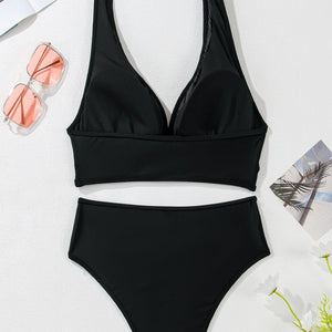 Black Sheer Mesh Edged Halter V Neck Push Up Bikini